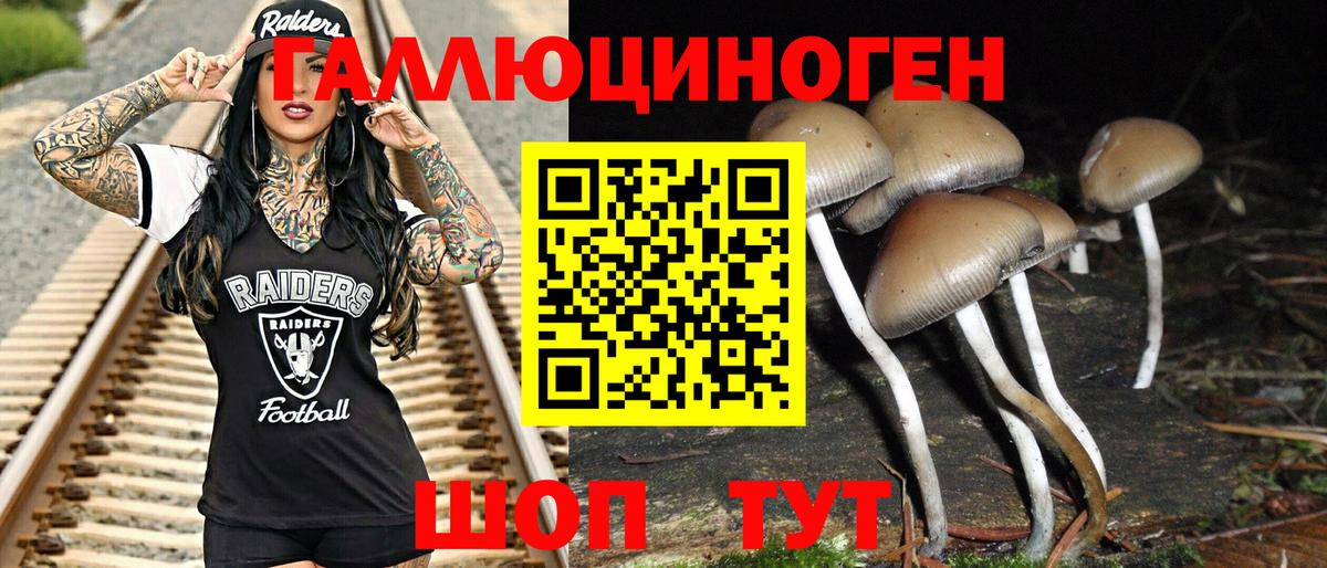 Галлюциногенные грибы Cubensis  Вход с VPN  наркотики  Гай  Галлюциногенные грибы Psilocybine cubensis 